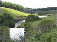 trout fishing in three falls farm
