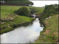 trout fishing in the rivers of lydenburg