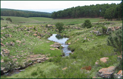 spectacular view at 3 falls farm