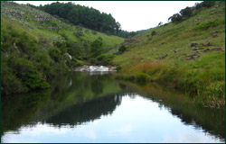 three falls farm scenery