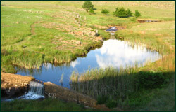 guest farm near kruger national park