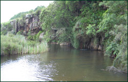 lazy river at 3falls farm