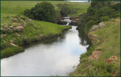 lazy river at 3 falls farm